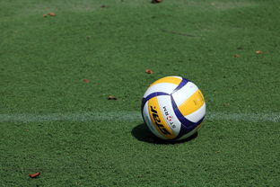 星空娱乐棋牌官网下载-好消息!意甲豪门欲签下中国女排当家球星,已在运作或联手埃格努