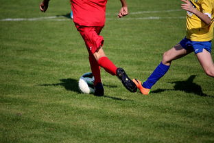 星空娱乐网址-NBA球员训练计划优化设计，nba运动员训练计划